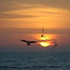 Almudi.org - 