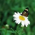 Almudi.org - 