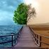 Almudi.org - 