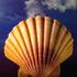 Almudi.org - 