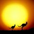 Almudi.org - 