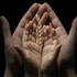 Almudi.org - 