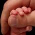 Almudi.org - 