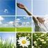Almudi.org - 