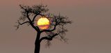 Almudi.org - 
