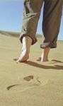 Almudi.org - Caminante