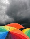 Almudi.org - Tiempo de crisis