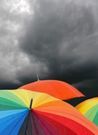 Almudi.org -  