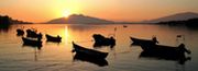 Almudi.org - 