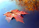 Almudi.org - 