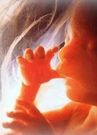 Almudi.org - Una vida dignísima
