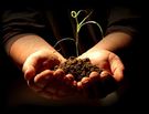 Almudi.org - Generosidad