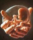 Almudi.org - Vida humana