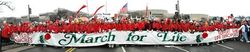 Almudi.org - March for Life