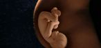 Almudi.org - 