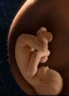 Almudi.org - 