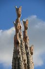 Almudi.org - Lo que nos muestra Gaudi