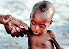 Almudi.org - Sida