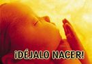 Almudí.org - ¡Déjalo nacer!