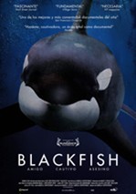 Blackfish.