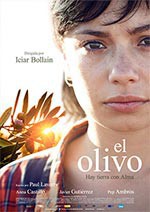 El olivo