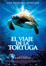 El viaje de la tortuga